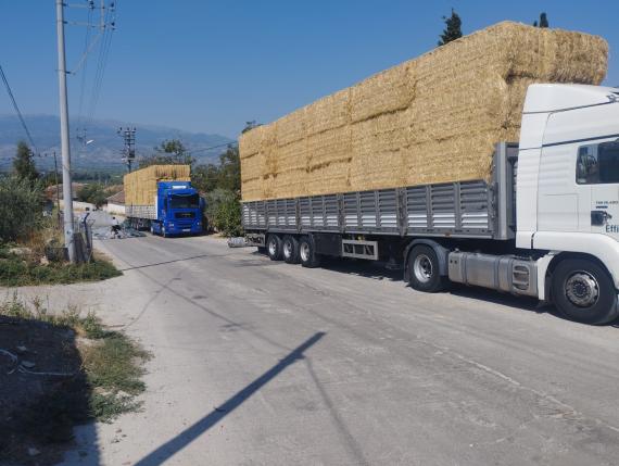Firmamız